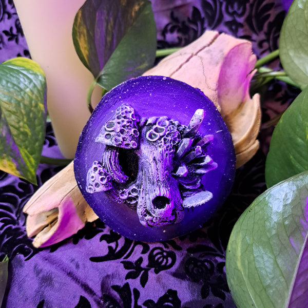 Framed Cat Skull Mini Art (Purple)