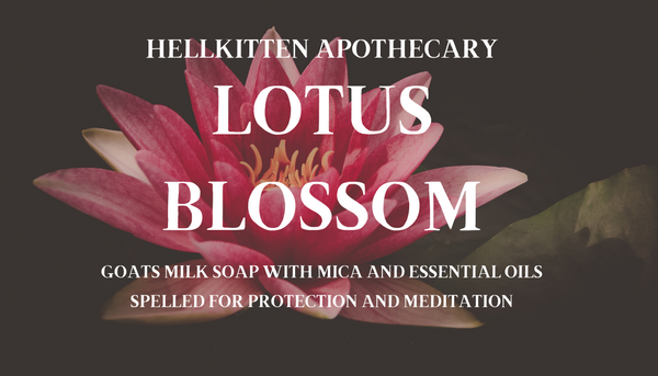 Lotus Blossom