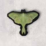 Luna Moth (Sticker)