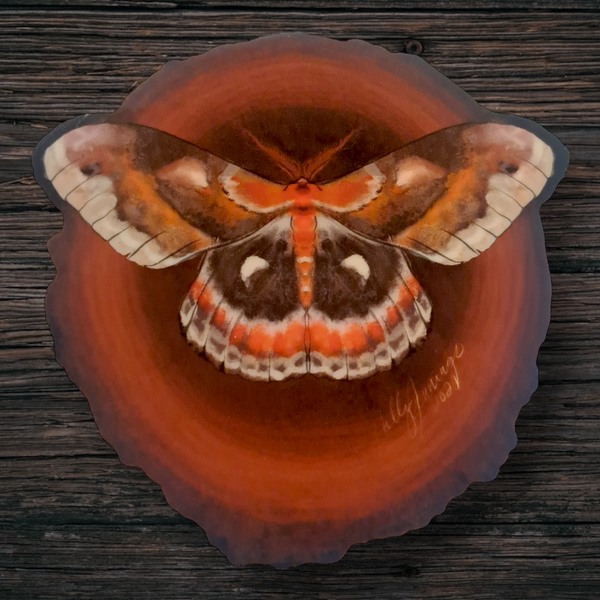 Cecropia Moth (Sticker)