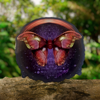 Atlas Moth (Sticker)