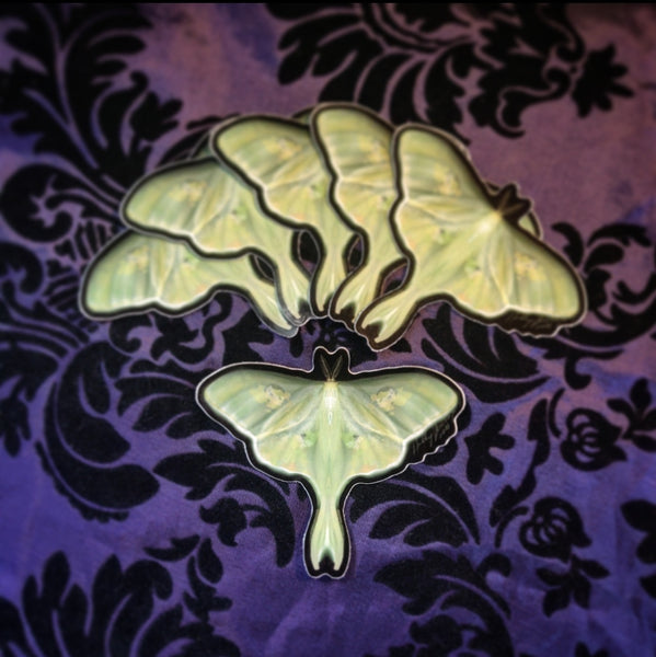 Luna Moth (Sticker)