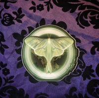 Luna Moth (Sticker)