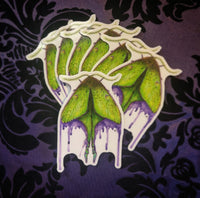 Watercolor Luna Moth  (Sticker)