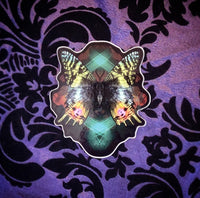 Madagascar Sunset Moth (Sticker)