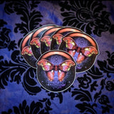 Atlas Moth (Sticker)