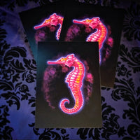 Diaphonized Seahorse (Print)