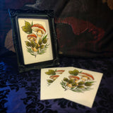Mushies (Print)