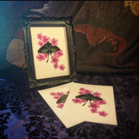 Moth and Cherry Blossoms 🌸 (Print)