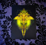 Comet Moth (Print)