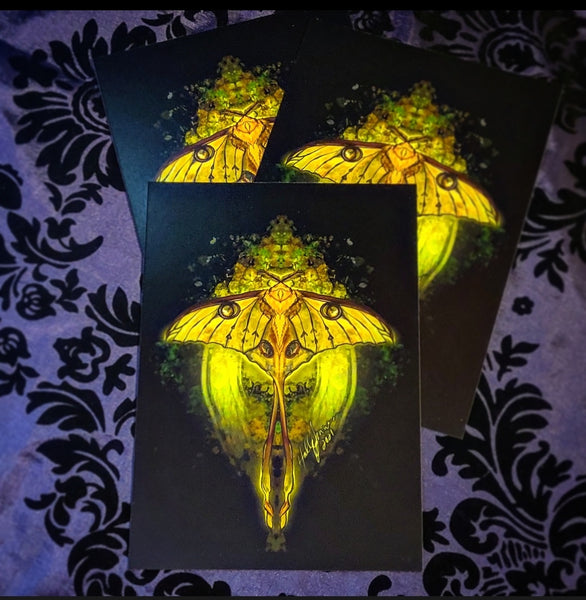 Comet Moth (Print)