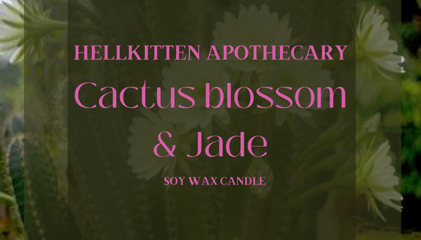 Cactus Blossom 🌸 and Jade (Candle)